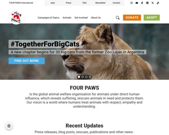 Screenshot of the Four Paws International website