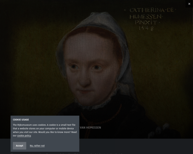 Screenshot of the 10 Things You Need to Know about Catharina van Hemessen website