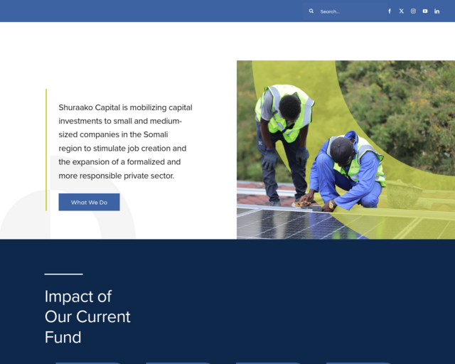 Screenshot of the Why Do People Rebel? website