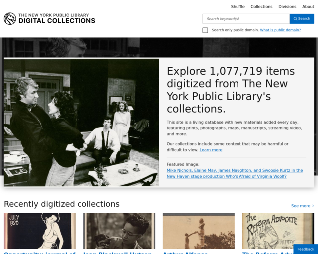 Screenshot of the NYPL Digital Collection website