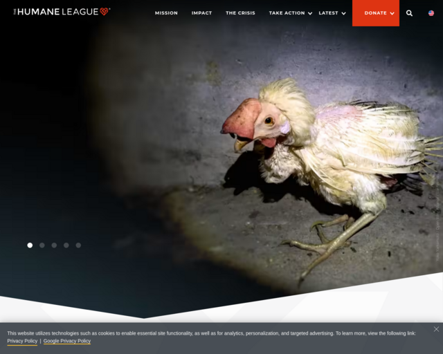 Screenshot of the The Humane League website