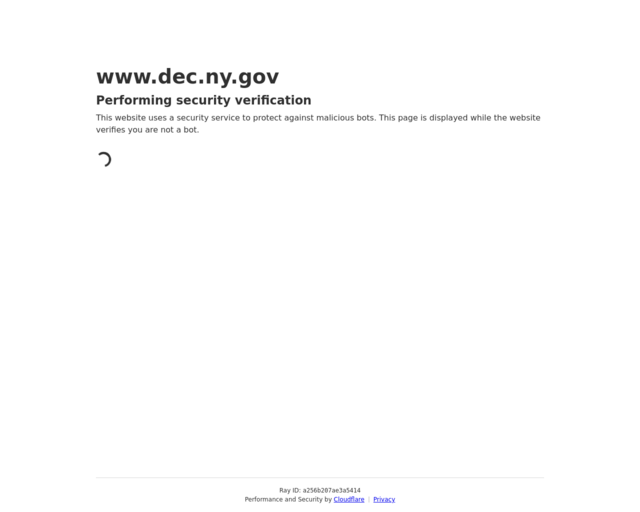 Screenshot of the NY Conservationist 4 Kids - Issue Index website