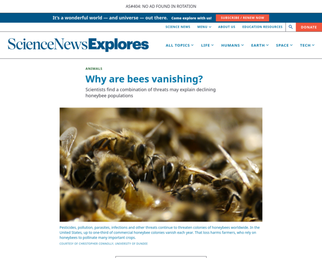 Screenshot of the Why are bees vanishing? website