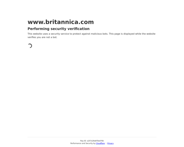 Screenshot of the Pro/Con website