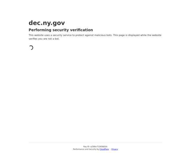 Screenshot of the NYS Department of Environmental Conservation website