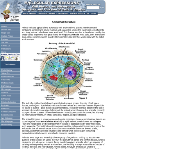 Screenshot of the Mollecular Expressions (Florida State University) website