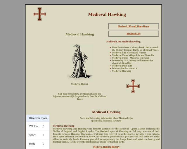 Screenshot of the Falconers website