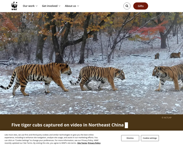 Screenshot of the World Wildlife Fund website