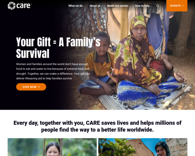 Screenshot of the Care International website