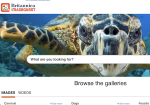 Image Quest Online